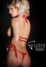 Luxxa STRING FESTON 1